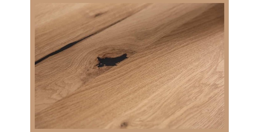 Zoom sur la texture de la table ZENTOR 200cm