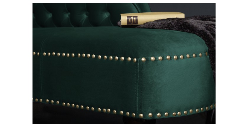 Zoom sur la tranche de la méridienne EDGAR verte