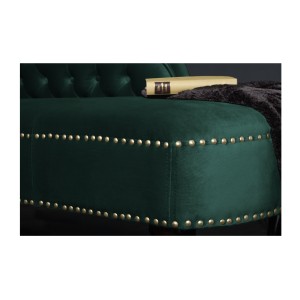 Zoom sur la tranche de la méridienne EDGAR verte