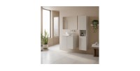 Ensemble AOKI : meuble sous vasque à placards 60cm + plan vasque beige + vasque ronde blanche à poser + colonne