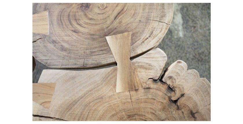 Zoom sur la jonction entre deux petits ronds du plateau de la table basse NOMA rectangulaire 110cm