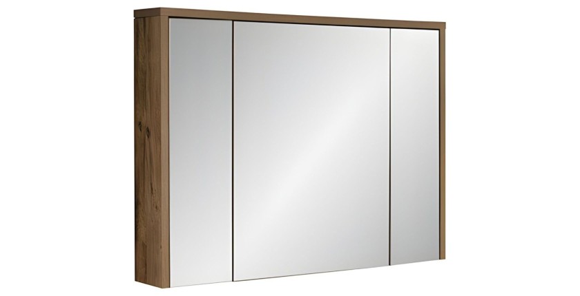 Meuble de rangement avec miroirs