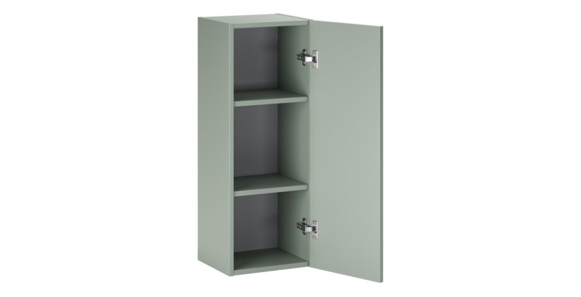 Rangement suspendu vert 1 porte OSTER ouvert