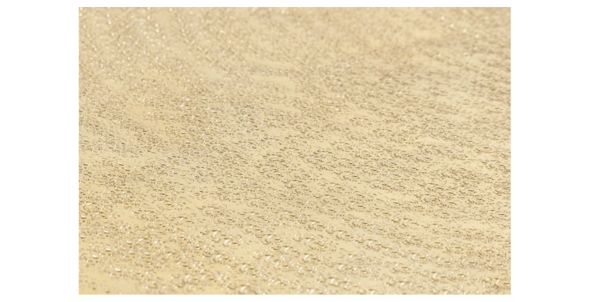 Zoom sur la texture du plateau de la table basse TRIANE asymétrique dorée