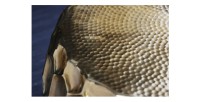 Zoom sur la texture du plateau de la table basse TRIANE doré 70cm
