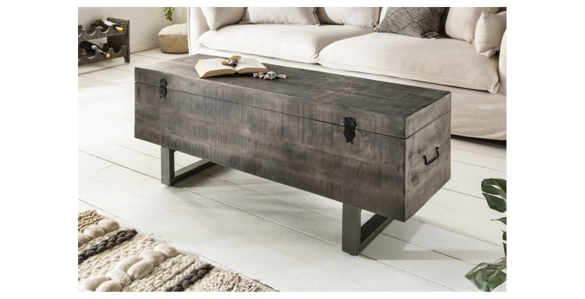 Table basse ou banc coffre MERAX 115cm grise vue de côté