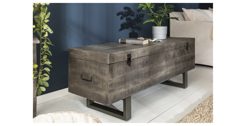 Table basse ou banc coffre MERAX 115cm grise mise en situation