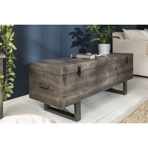 Table basse ou banc coffre MERAX 115cm grise mise en situation