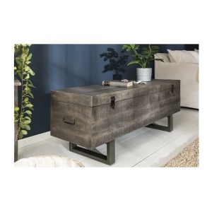 Table basse ou banc coffre MERAX 115cm grise mise en situation
