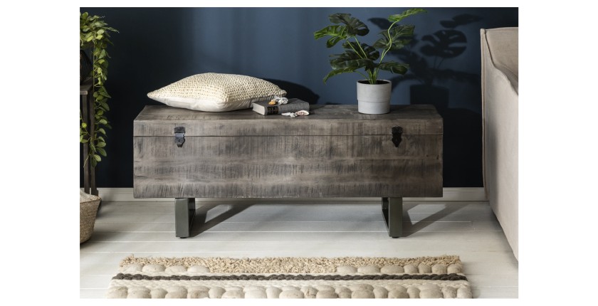 Table basse ou banc coffre MERAX 115cm grise vue de face