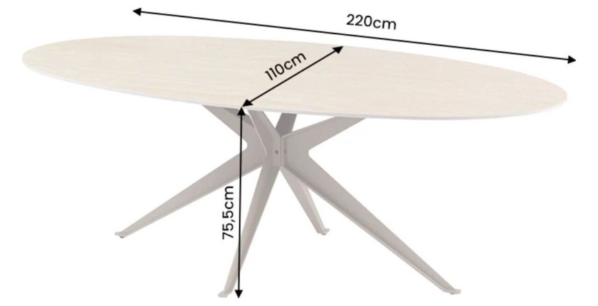 Table de salle à manger AVELIS 220cm dimensions