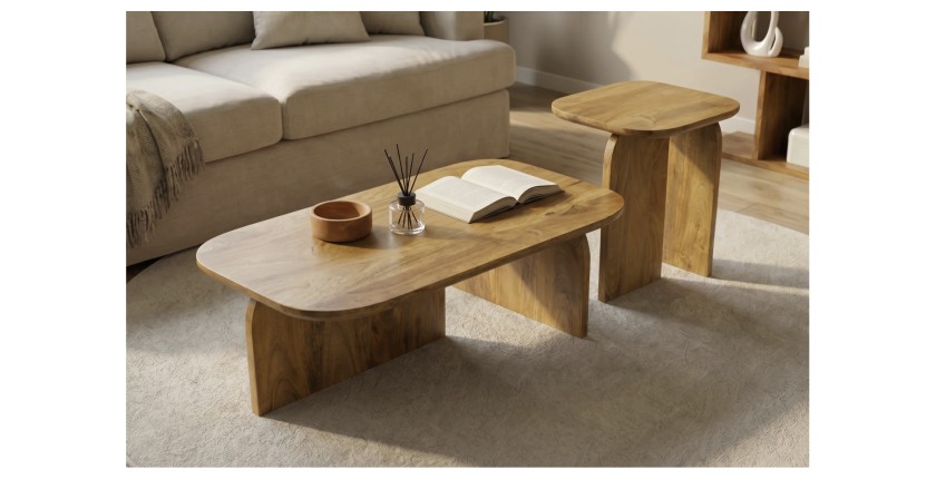 Lot de 2 tables basses en bois de manguier vues de haut
