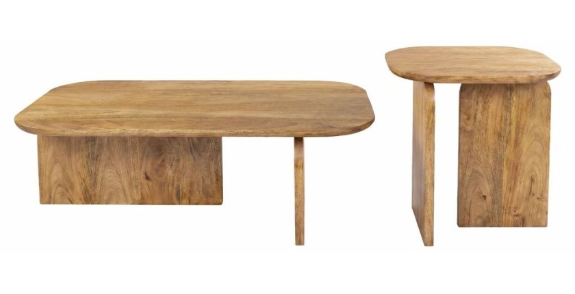 Lot de 2 tables basses en bois de manguier