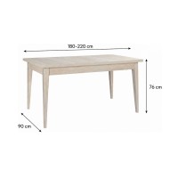 Table MALMO dimensions