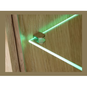 Vitrine ERINA – 2 Türen – Helles Eichenholz und Beige