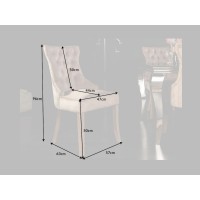 Chaise REGINA cappuccino en velours dimensions
