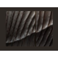 Zoom sur la jonction entre deux placards du buffet SILVA 177cm en bois de manguier noir