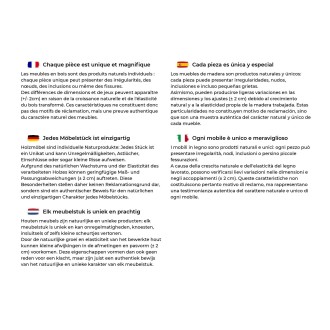 Buffet RYUJIN - texte pièce unique