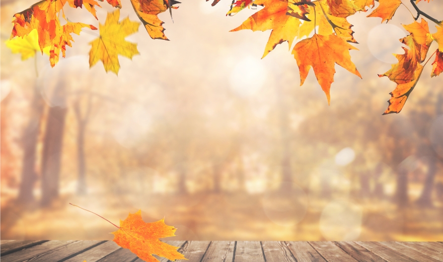 Slide background