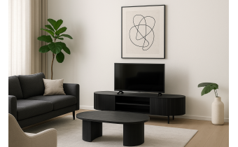 Hervorgehobenes Bild für den Artikel TV-Möbel und Couchtisch
